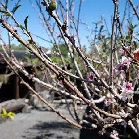 El Refugio Casa de Férias *