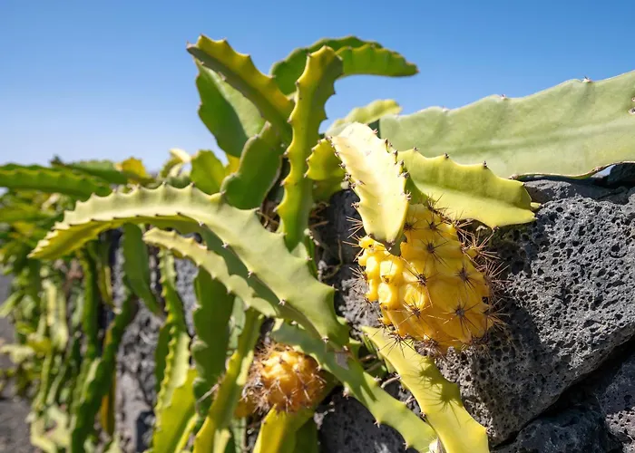 El Refugio Holiday home