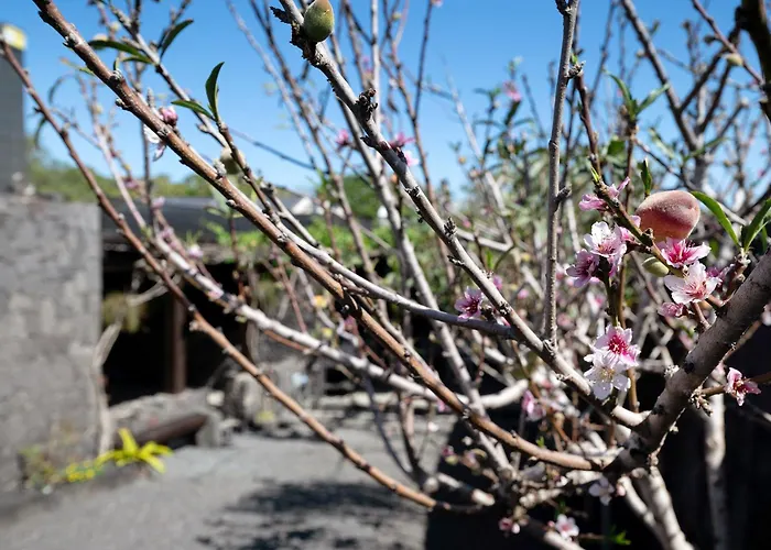 El Refugio Casa vacanze *